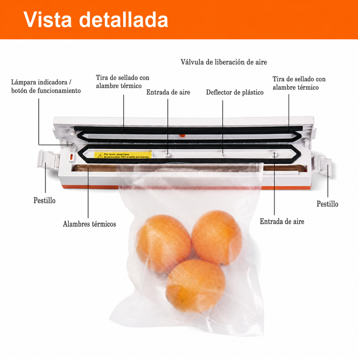 Sellador al Vacío 2 en 1 | Conserva tus Alimentos por Más Tiempo