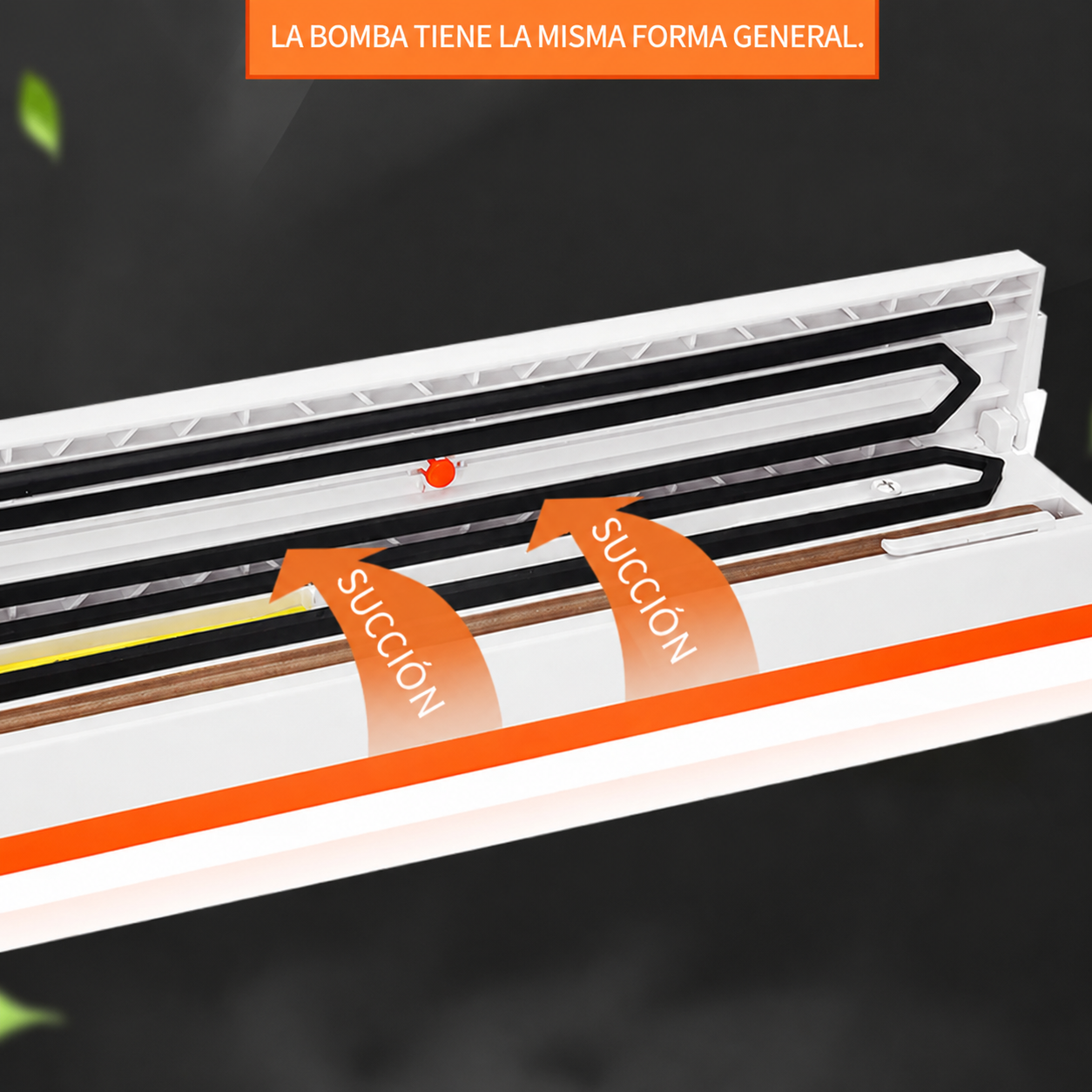 Sellador al Vacío 2 en 1 | Conserva tus Alimentos por Más Tiempo